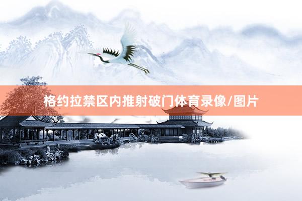 格约拉禁区内推射破门体育录像/图片