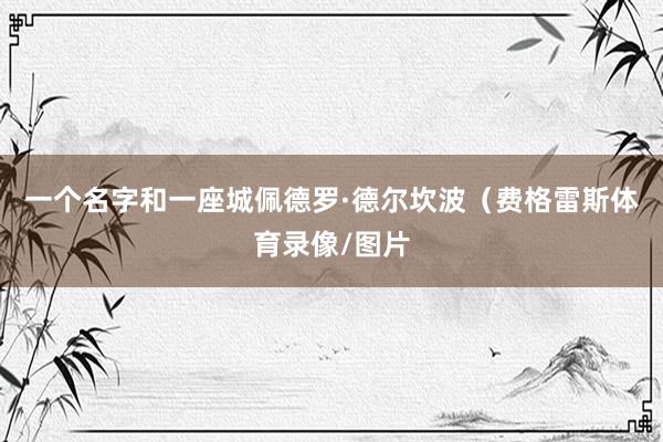 一个名字和一座城佩德罗·德尔坎波（费格雷斯体育录像/图片