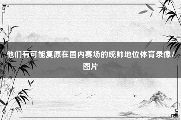他们有可能复原在国内赛场的统帅地位体育录像/图片