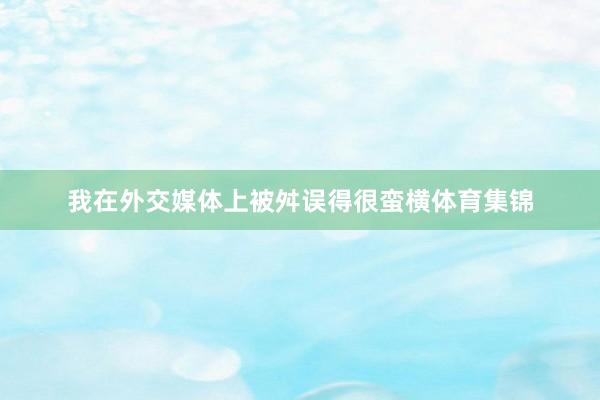 我在外交媒体上被舛误得很蛮横体育集锦