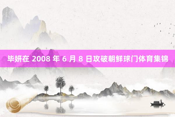 毕妍在 2008 年 6 月 8 日攻破朝鲜球门体育集锦