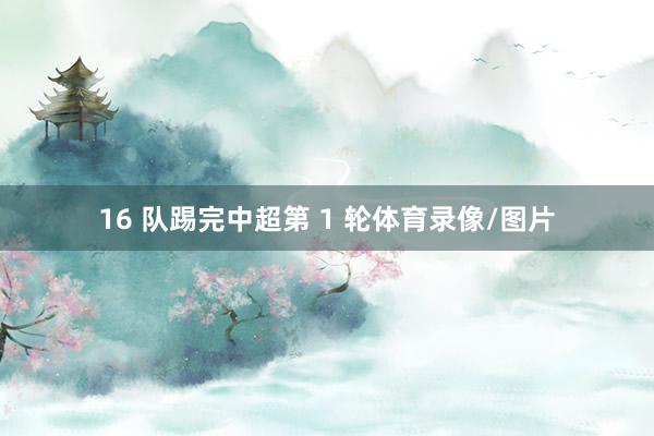 16 队踢完中超第 1 轮体育录像/图片