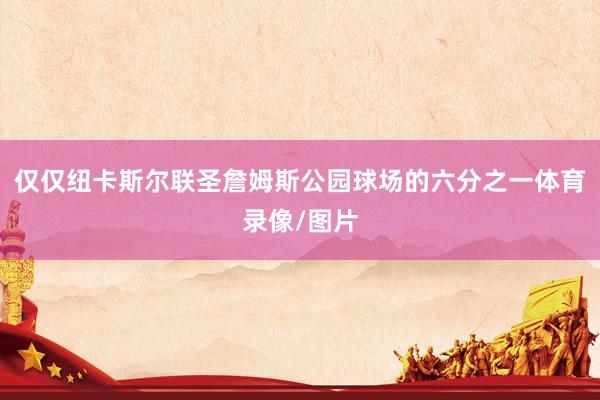 仅仅纽卡斯尔联圣詹姆斯公园球场的六分之一体育录像/图片