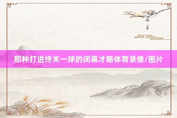 那种打进终末一球的闭幕才略体育录像/图片
