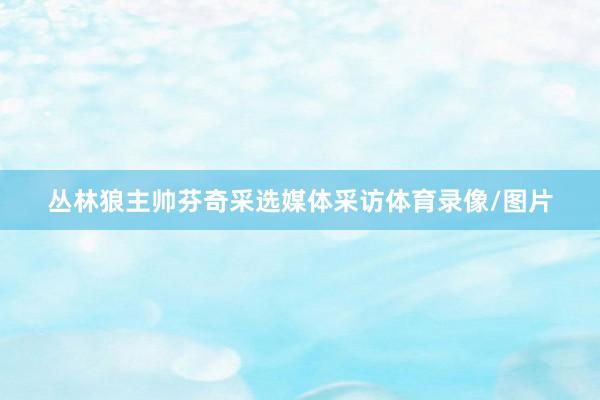 丛林狼主帅芬奇采选媒体采访体育录像/图片