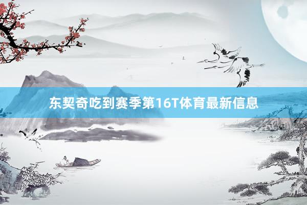 东契奇吃到赛季第16T体育最新信息