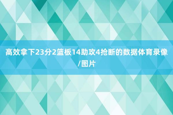 高效拿下23分2篮板14助攻4抢断的数据体育录像/图片