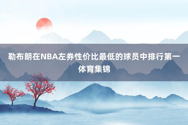 勒布朗在NBA左券性价比最低的球员中排行第一体育集锦