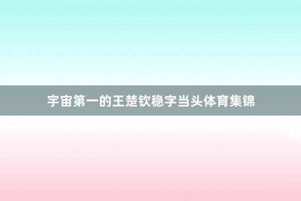宇宙第一的王楚钦稳字当头体育集锦