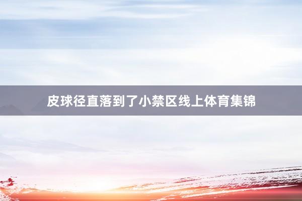 皮球径直落到了小禁区线上体育集锦