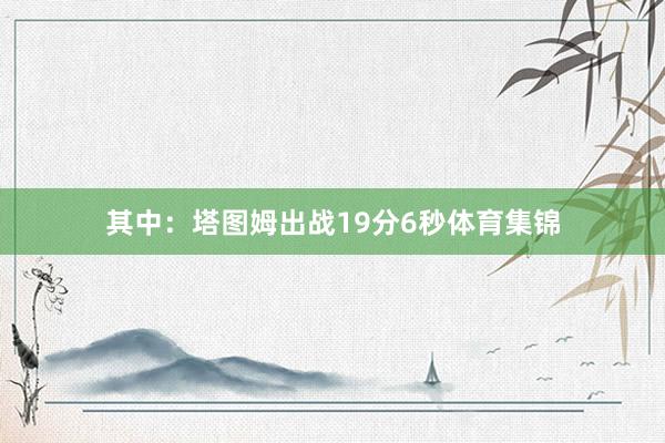 其中：塔图姆出战19分6秒体育集锦