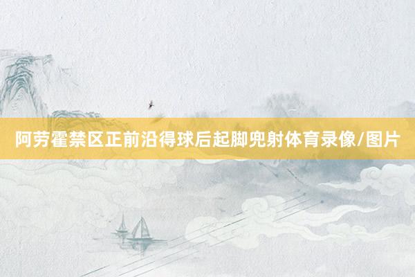 阿劳霍禁区正前沿得球后起脚兜射体育录像/图片