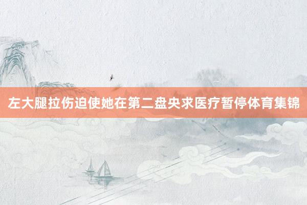 左大腿拉伤迫使她在第二盘央求医疗暂停体育集锦
