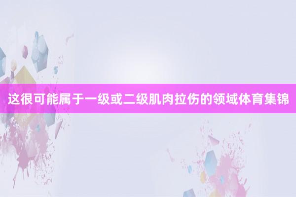 这很可能属于一级或二级肌肉拉伤的领域体育集锦