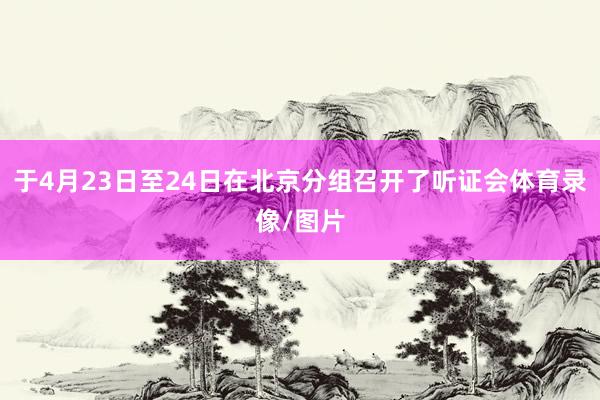 于4月23日至24日在北京分组召开了听证会体育录像/图片