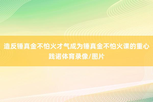 造反锤真金不怕火才气成为锤真金不怕火课的重心践诺体育录像/图片