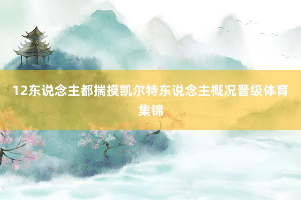 12东说念主都揣摸凯尔特东说念主概况晋级体育集锦