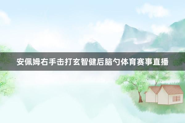 安佩姆右手击打玄智健后脑勺体育赛事直播