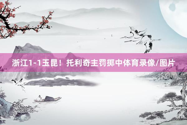 浙江1-1玉昆！托利奇主罚掷中体育录像/图片