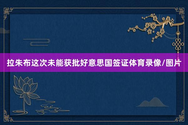 拉朱布这次未能获批好意思国签证体育录像/图片